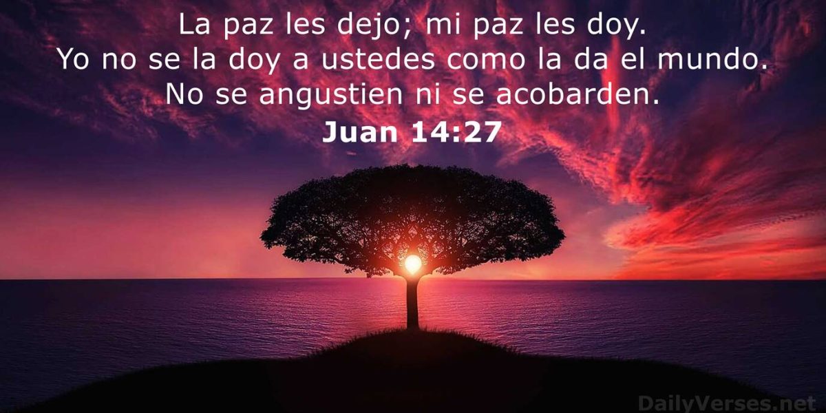 VI Domingo de Pascua. Año C
