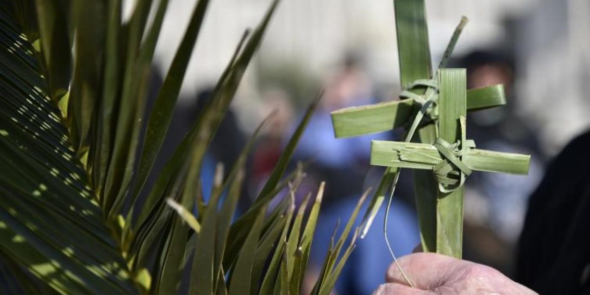 Domingo de Ramos. Año A