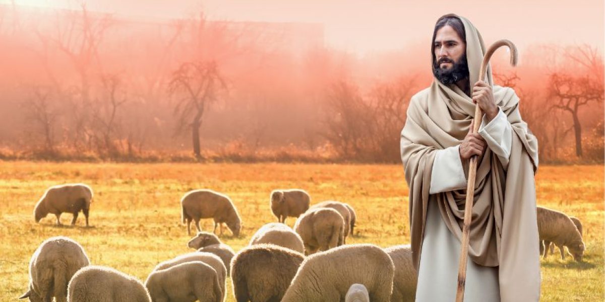 IV Domingo de Pascua. Año A