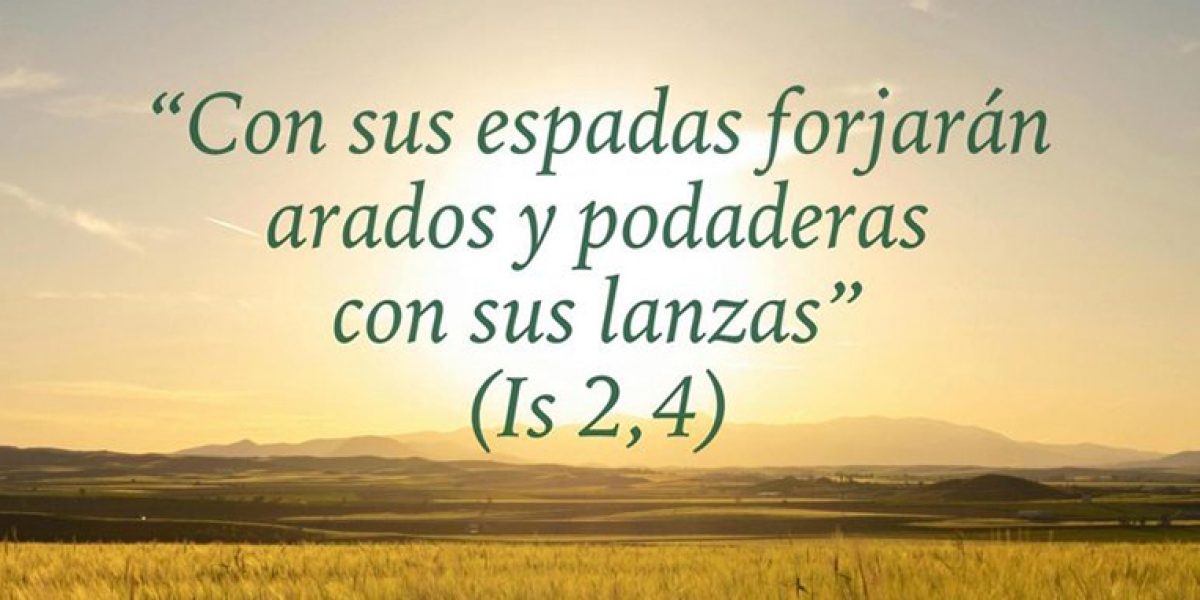 Mensaje del Papa para la Jornada Mundial de oración por el cuidado de la Creación