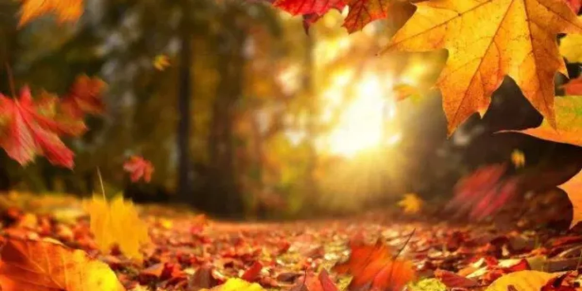 El otoño: tiempo de madurez, cosecha y esperanza. Oraciones para el otoño de la vida